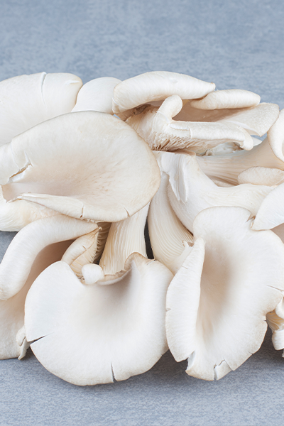 1111222chatgpt image mar 15, 2026, 04 13 27 pm