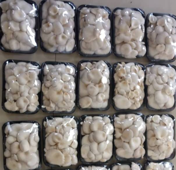 480965331 122134158824596487 1444313001853217149 n